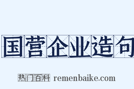 国营企业造句是什么意思的图片